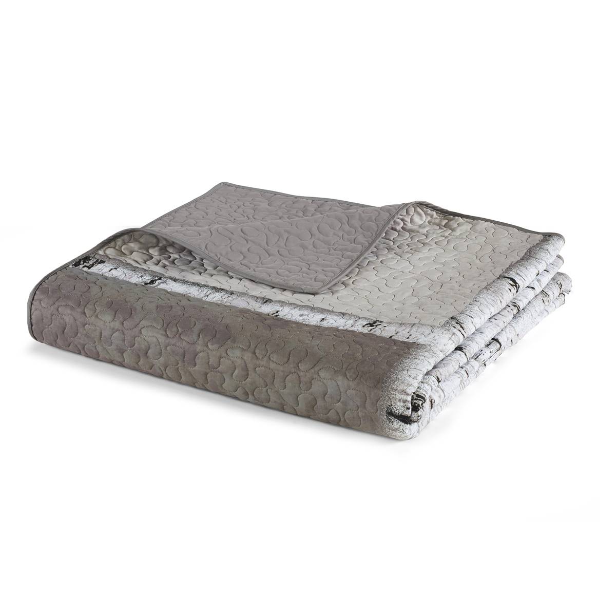 Donna Sharp Bear Panels Throw Blanket New ???? Donna-Sharp Bed Donna Sharp Bear Panels Throw Blanket ❤️ -Donna Sharp Shop unnamed file 568