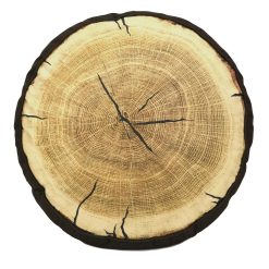 Best reviews of ⭐ Donna-Sharp Home Decor Donna Sharp Painted Bear Tree Ring Decorative Pillow - 16x4 ❤️